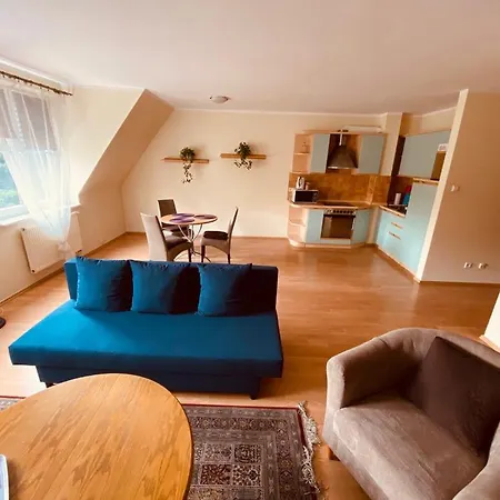 Przy Zamku Apartment *