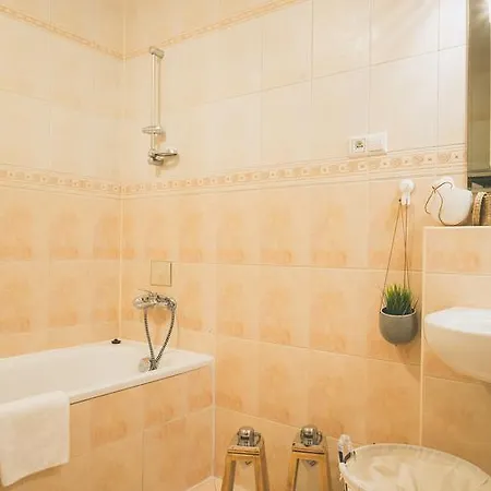 Przy Zamku Apartment