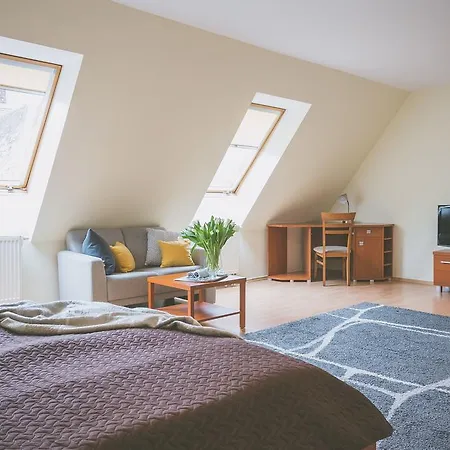 Przy Zamku Apartment