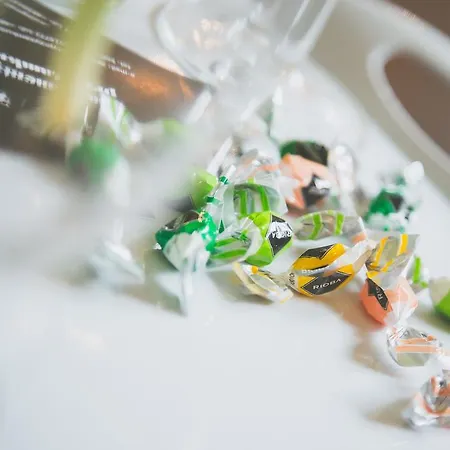 Przy Zamku Apartment *