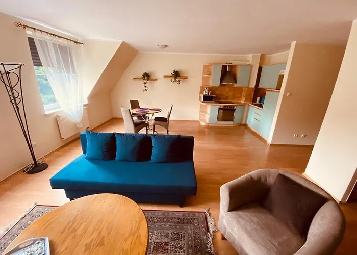 Przy Zamku Apartment *