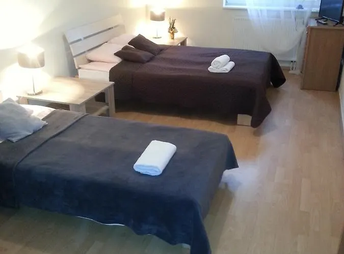 Przy Zamku Apartamento *